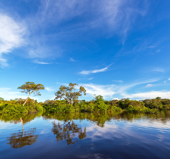 Imagem 1 sessao 3 projetos - E-volos - Transformamos desafios em soluções sustentáveis!
