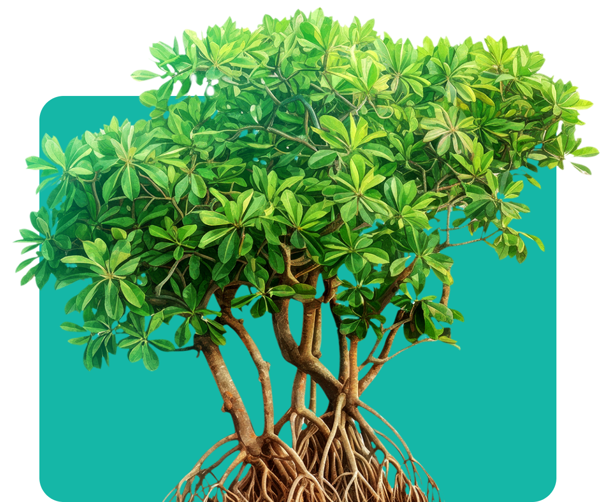 Imagem arvore segunda sessao projetos - E-volos - Transformamos desafios em soluções sustentáveis!