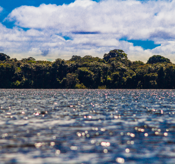 Imagem quem somos home 2 - E-volos - Transformamos desafios em soluções sustentáveis!